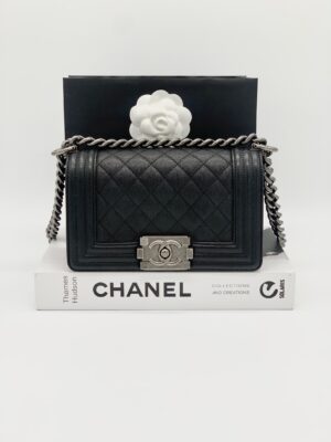Chanel boy 8 RHW holo 30