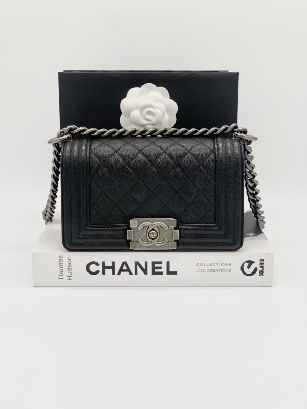 Chanel boy 8 RHW holo 30