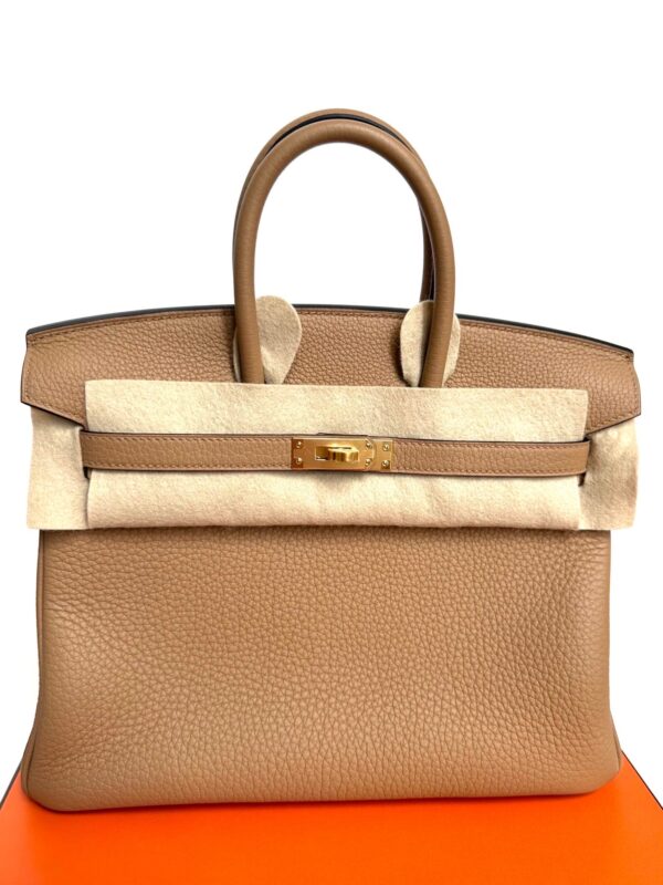 New Birkin 25 Chai Togo GHW
