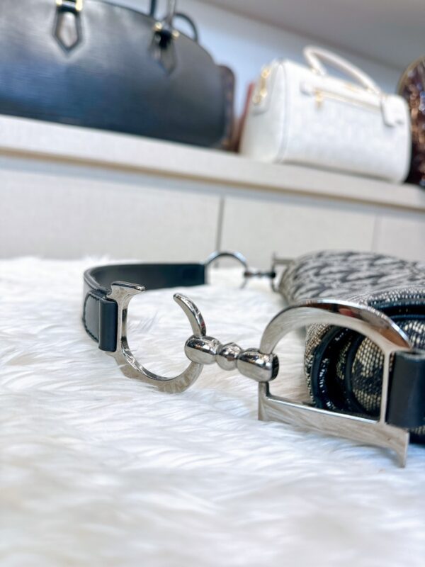 Dior Saddle