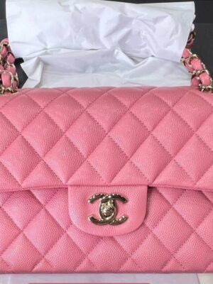 Kept unused Chanel Classic 9 microchip