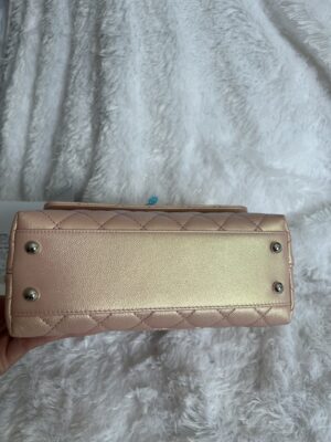 New chanel coco 9.5 iridescent caviar