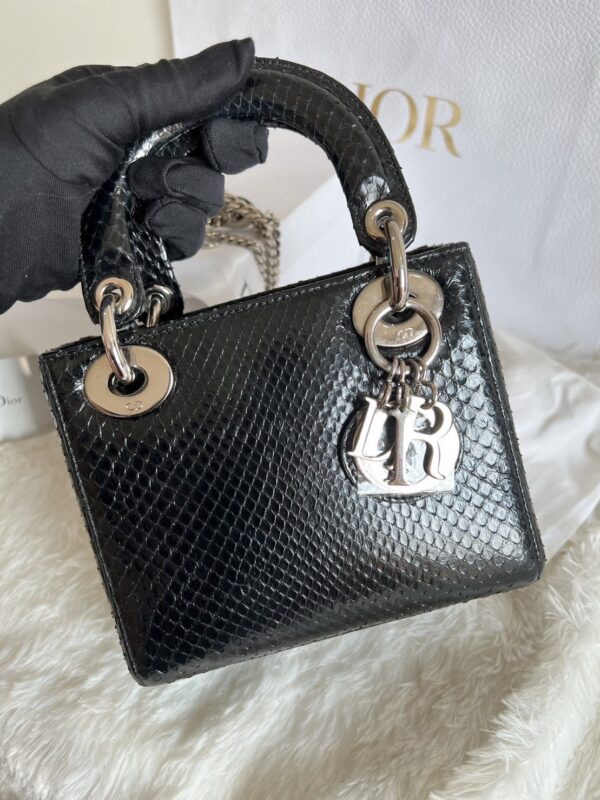 Dior Lady